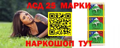 гидропоника Рязань