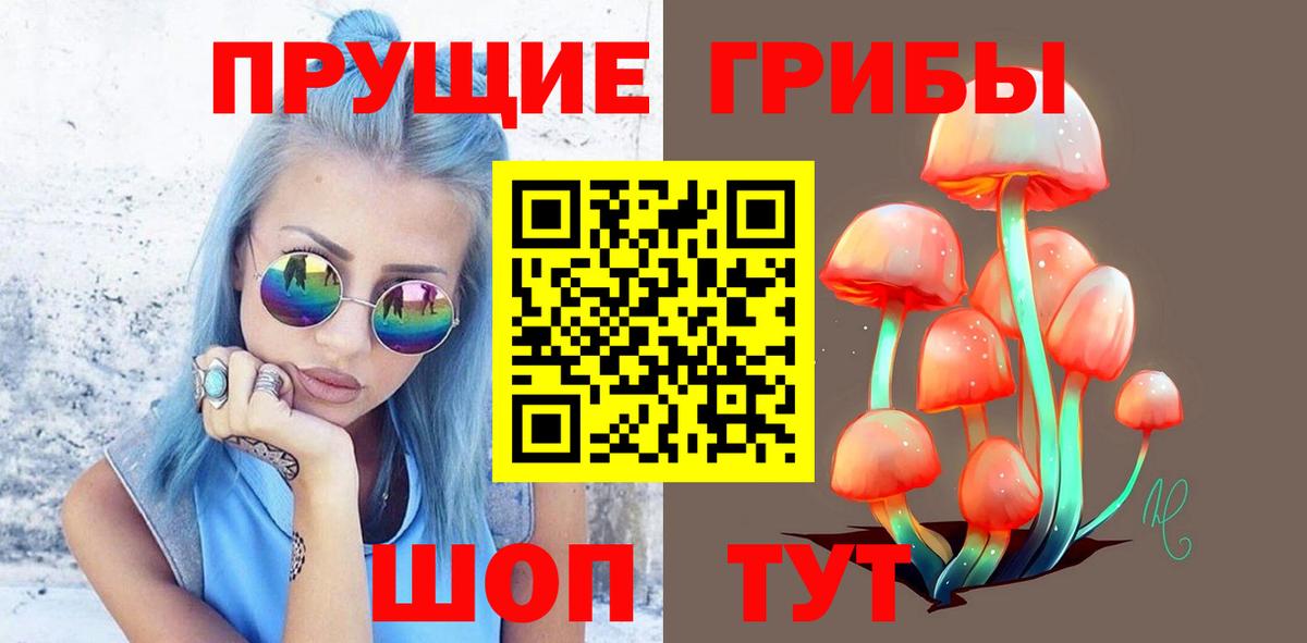 Галлюциногенные грибы Psilocybe Новоалександровск
